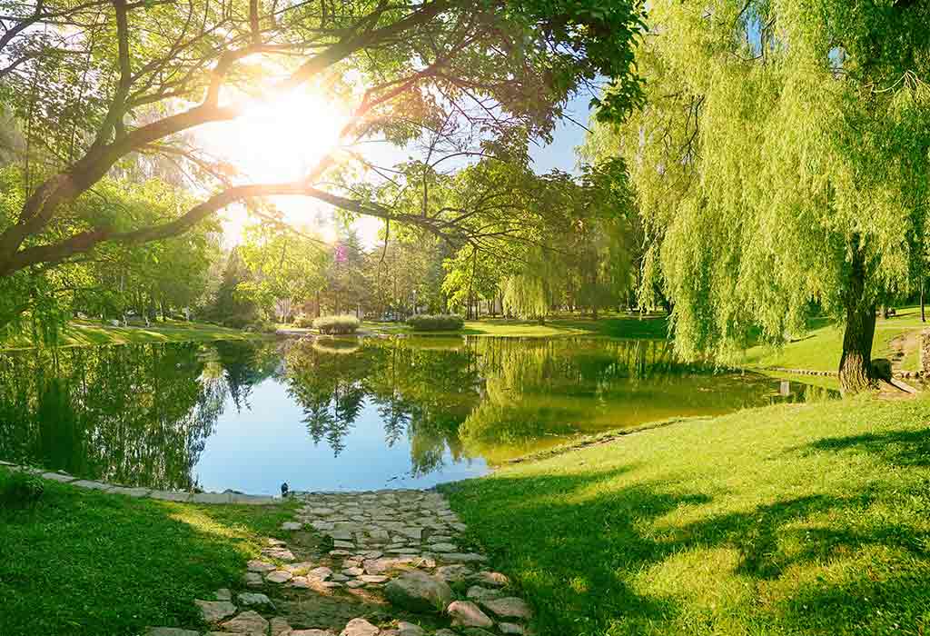 Lake surrounded with lush surroundings